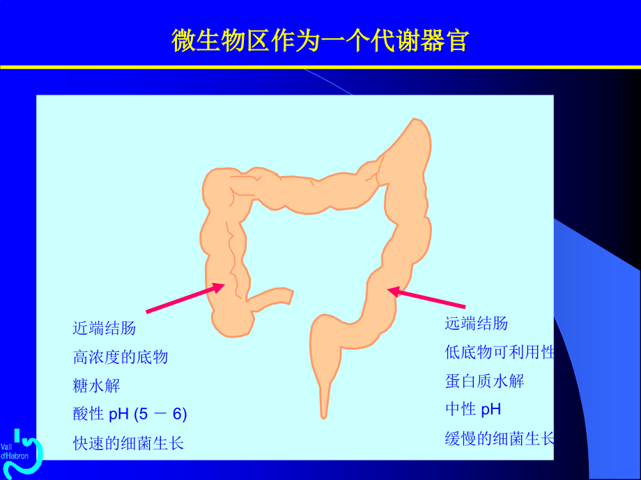 《肠道微生态》ppt课件_第3页