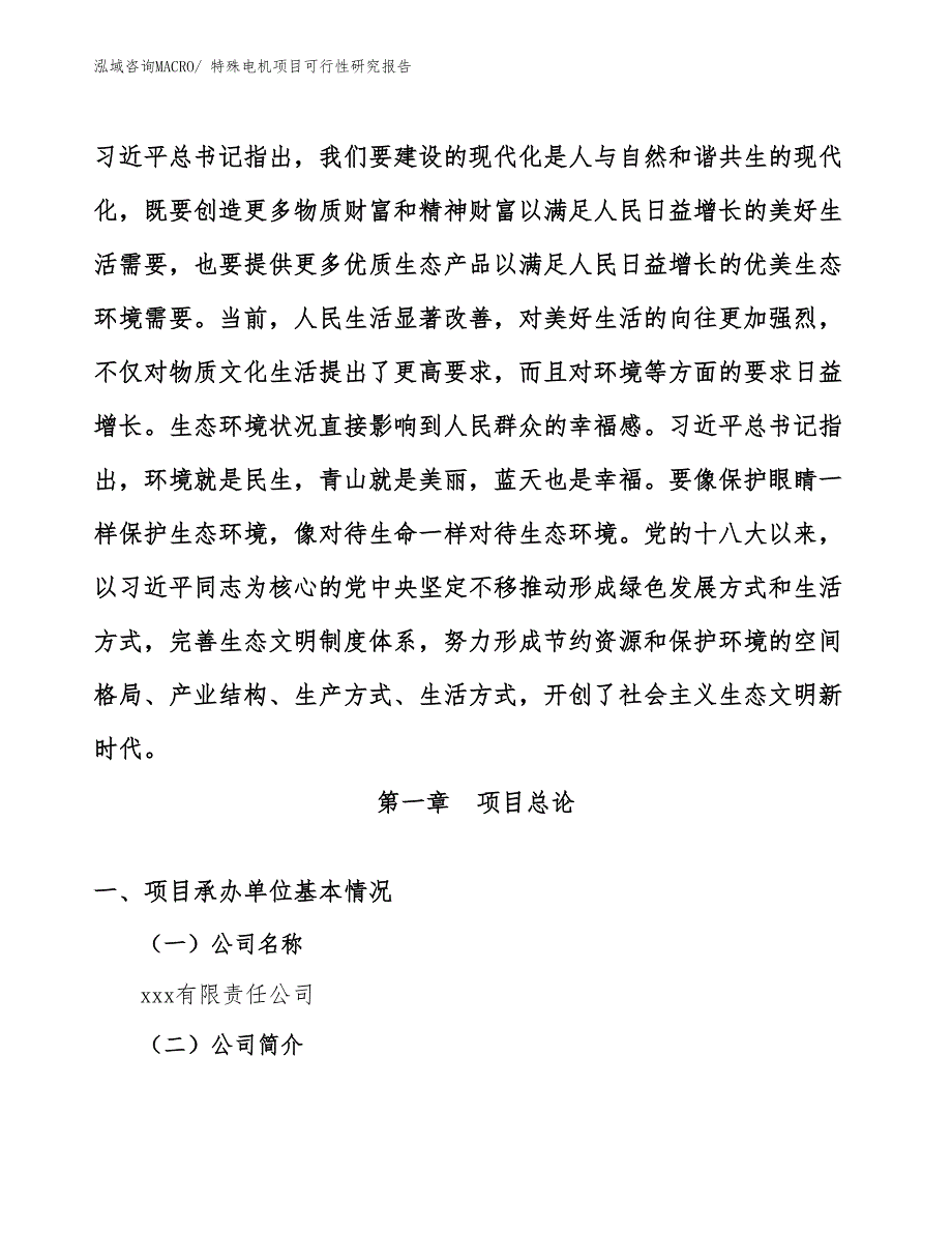 （参考模板）特殊电机项目可行性研究报告_第4页