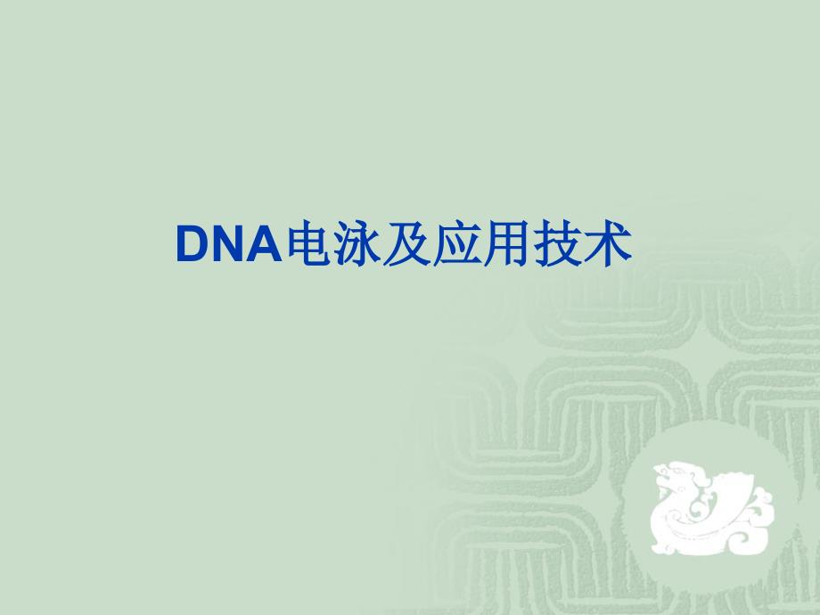 dna电泳及应用技术精美生物医学_第1页