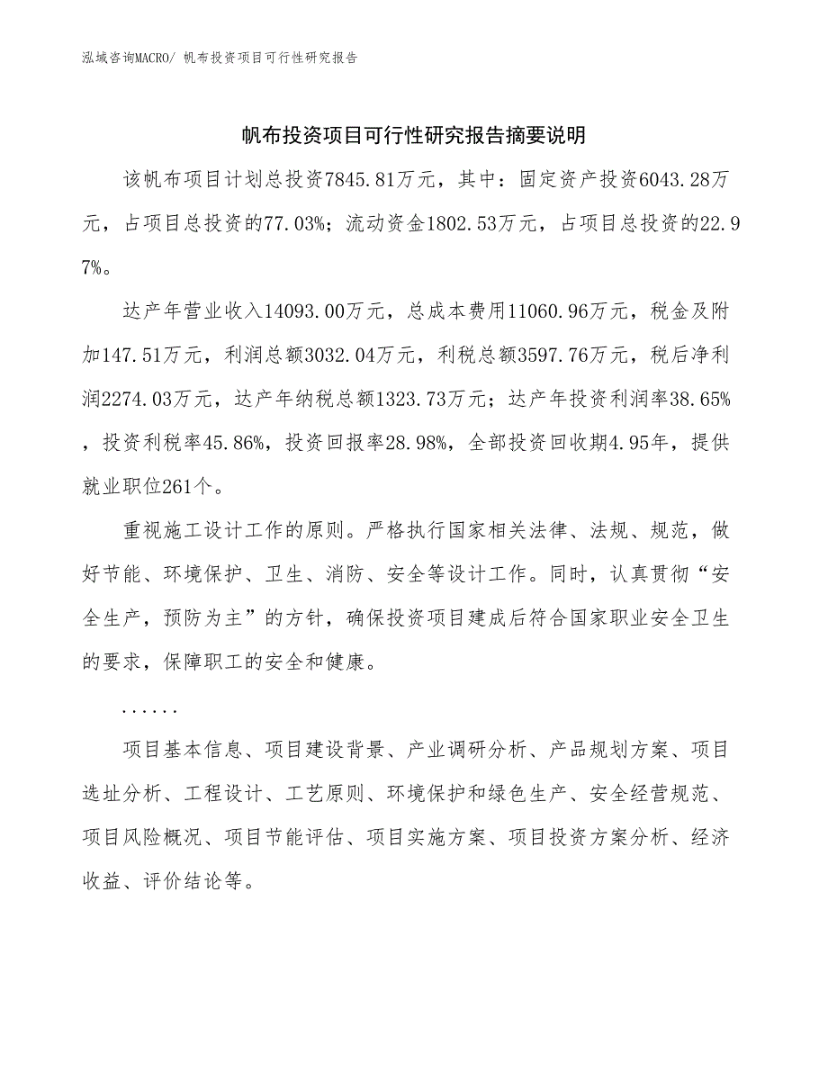 （模板）帆布投资项目可行性研究报告_第2页