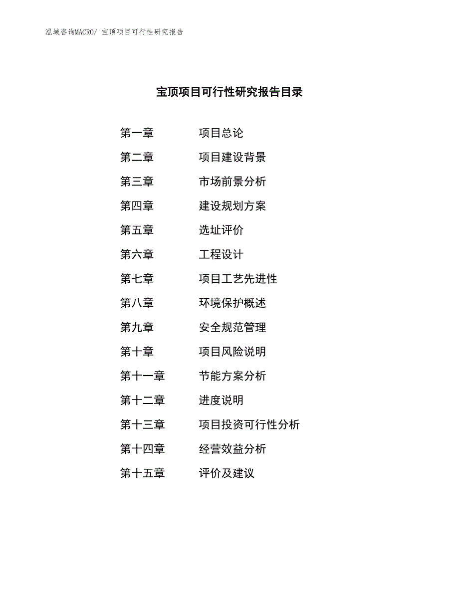 （模板）宝顶项目可行性研究报告_第3页