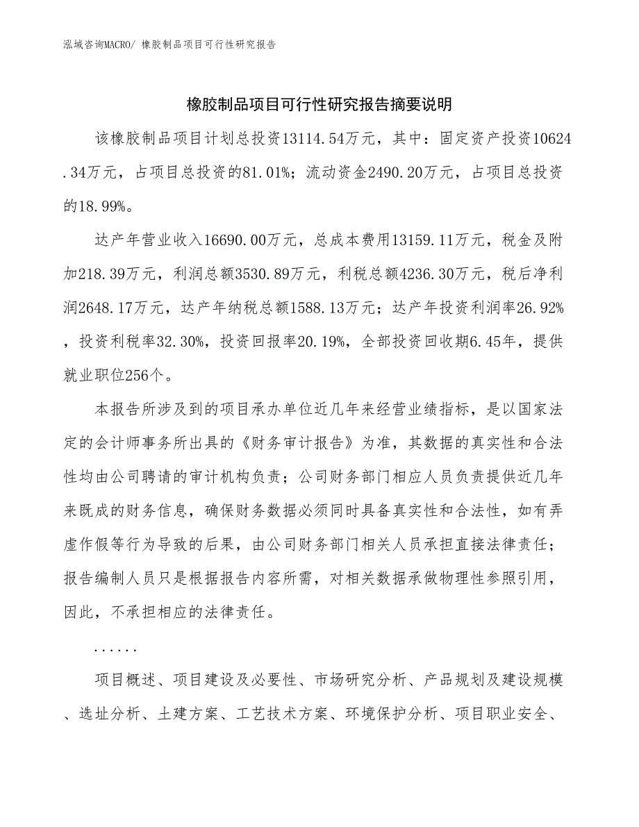 （范文）橡胶制品项目可行性研究报告_第2页