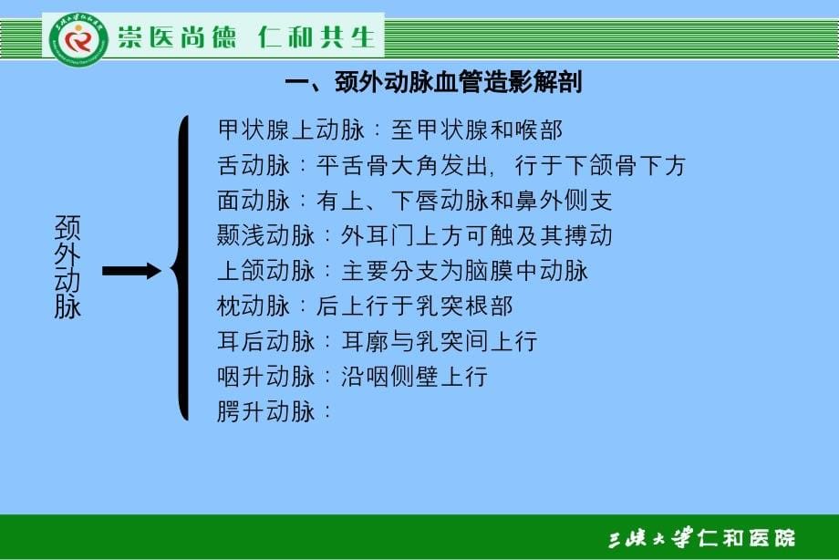 《血管解剖学》ppt课件_第5页