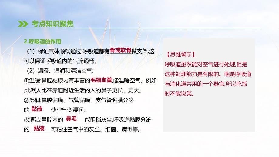 2019年中考生物 专题复习四 生物圈中的人 第13课时 人体的呼吸课件 新人教版_第3页