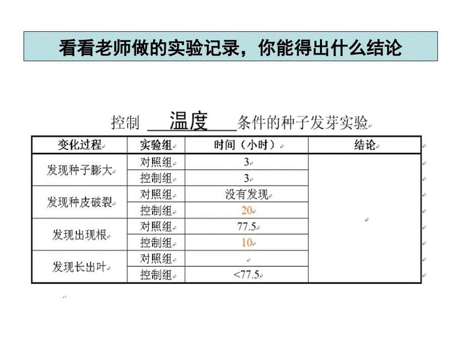 《种子发芽实验》ppt课件-2_第5页