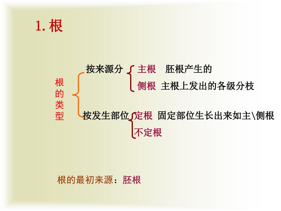 《园林植物的分类》ppt课件_第4页