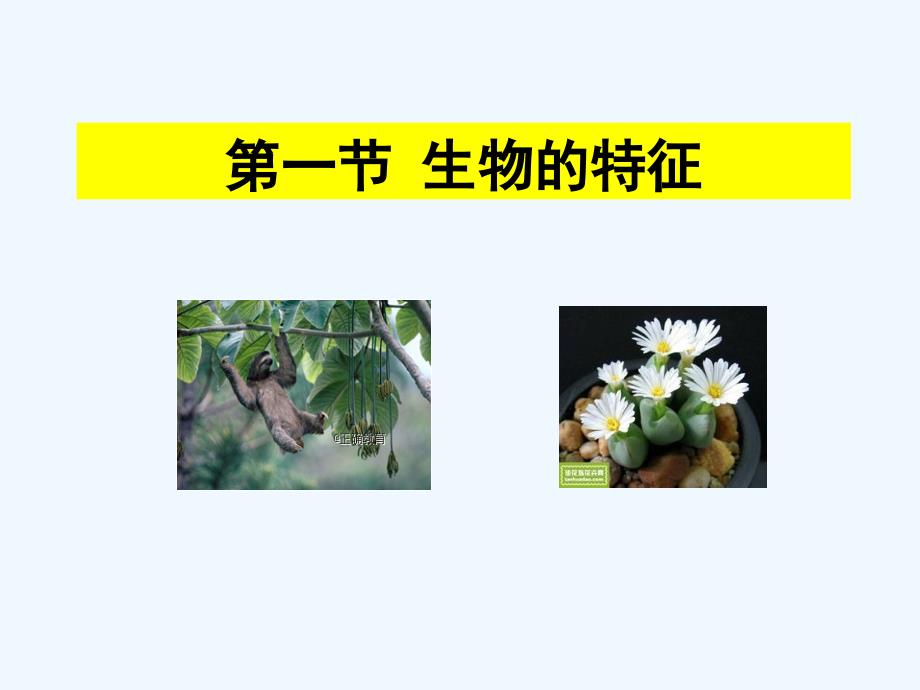 2018-2019学年七年级生物人教版上册同步课件：1.1.1 生物的特征_第1页