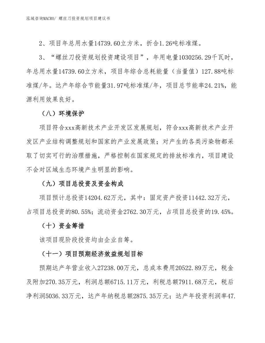 （规划说明）螺丝刀投资规划项目建议书_第5页