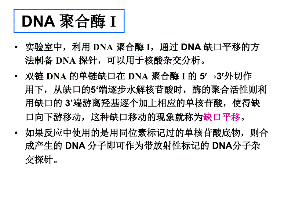 《其他重要工具酶》ppt课件_第4页