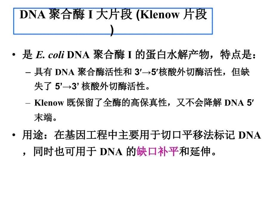 《其他重要工具酶》ppt课件_第5页