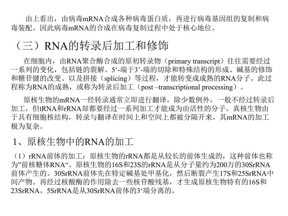 rna的复制rna指导rna_第5页