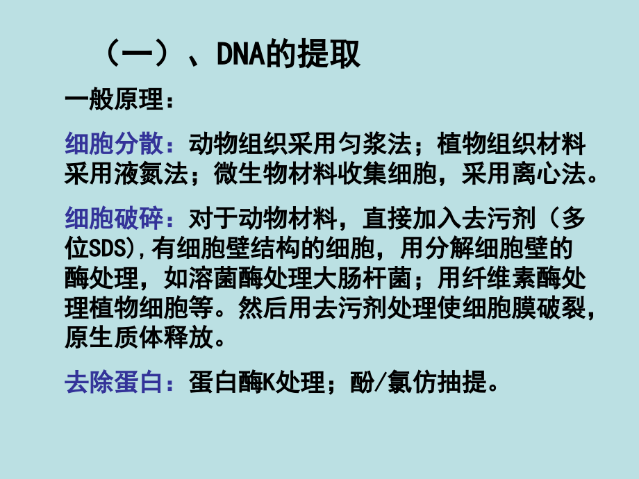 dna重组的的基本操作_第4页