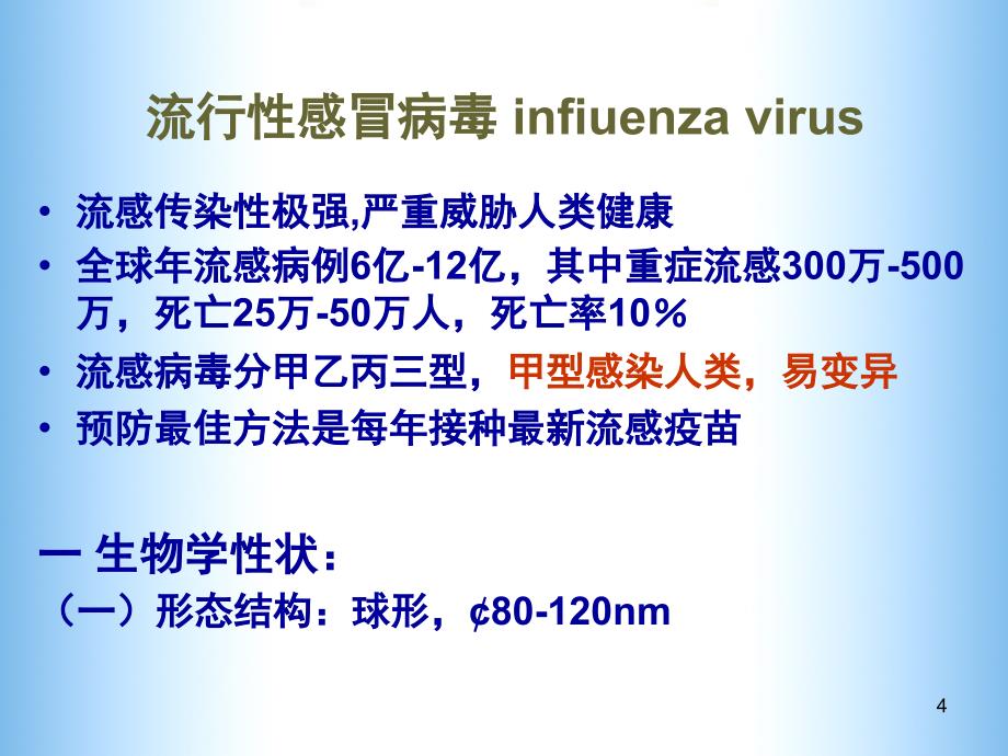 《微生物学呼肠道v》ppt课件_第4页