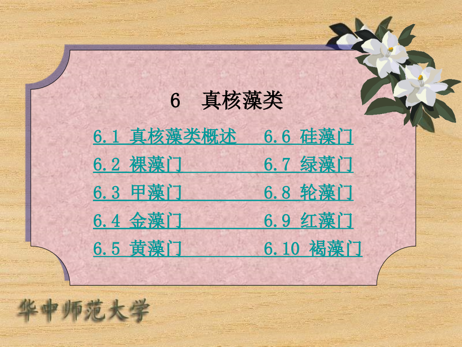 《真核藻类》ppt课件-2_第1页