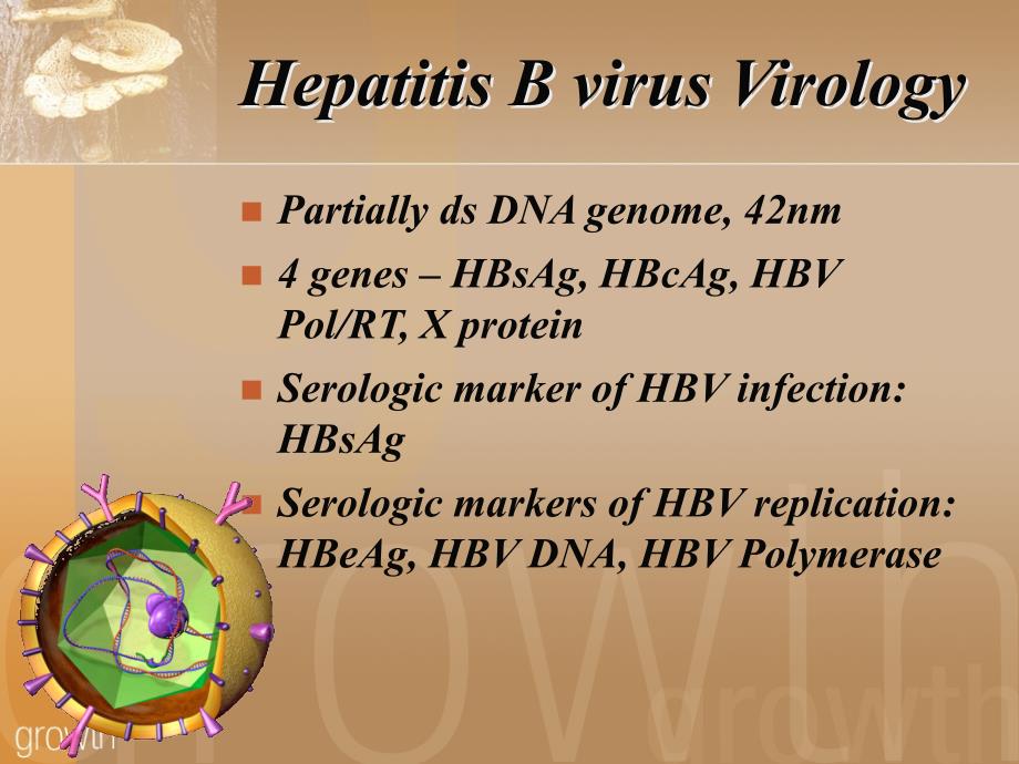 b型肝炎（hepatitis b） - 新網頁_第2页