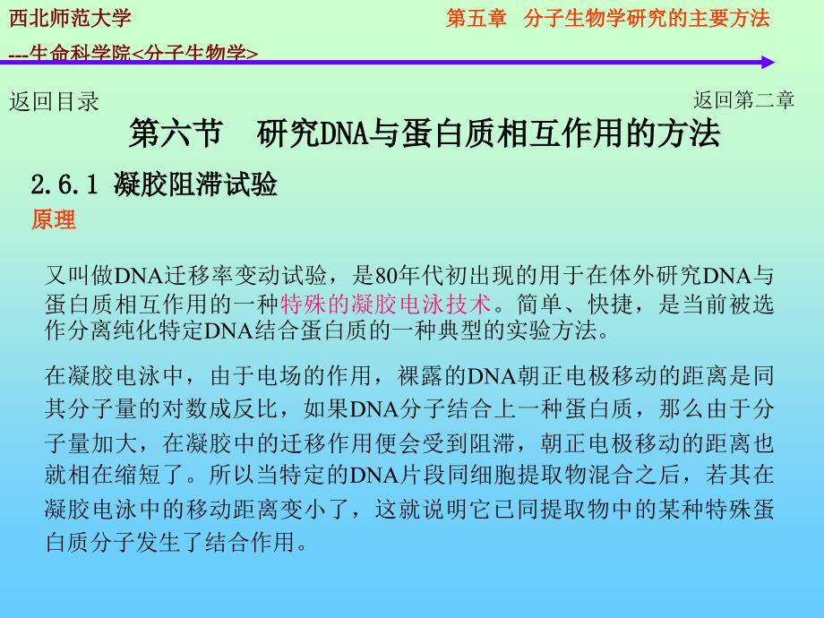 分子生物学的研究方法dna蛋白质相互作用_第1页