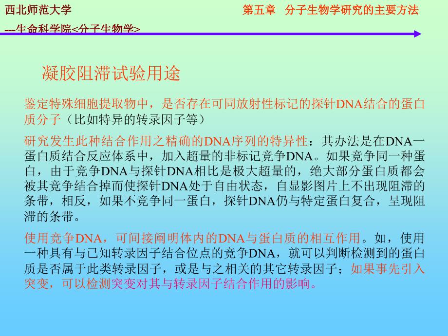 分子生物学的研究方法dna蛋白质相互作用_第4页