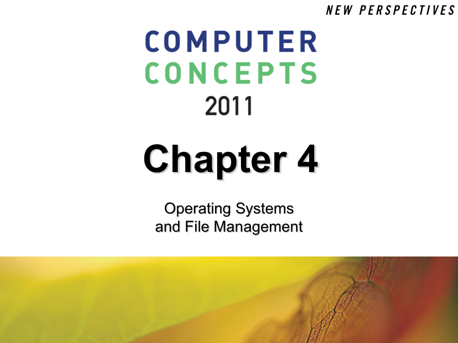 《计算机文化》ppt课件_第1页