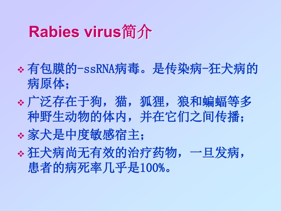 狂犬病病毒rabiesviru_第3页