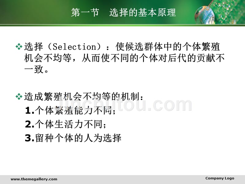 《动物数量遗传学》ppt课件_第3页