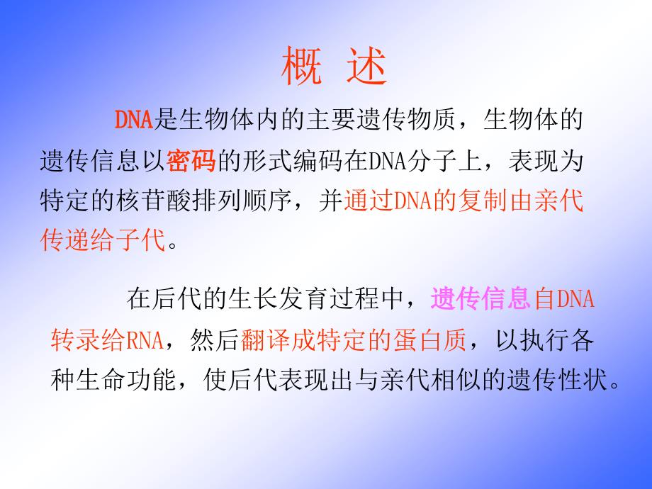 《信息分子代谢》ppt课件_第4页