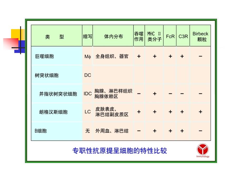 青岛大学基础医学院医学免疫学课件cha(8)_第4页