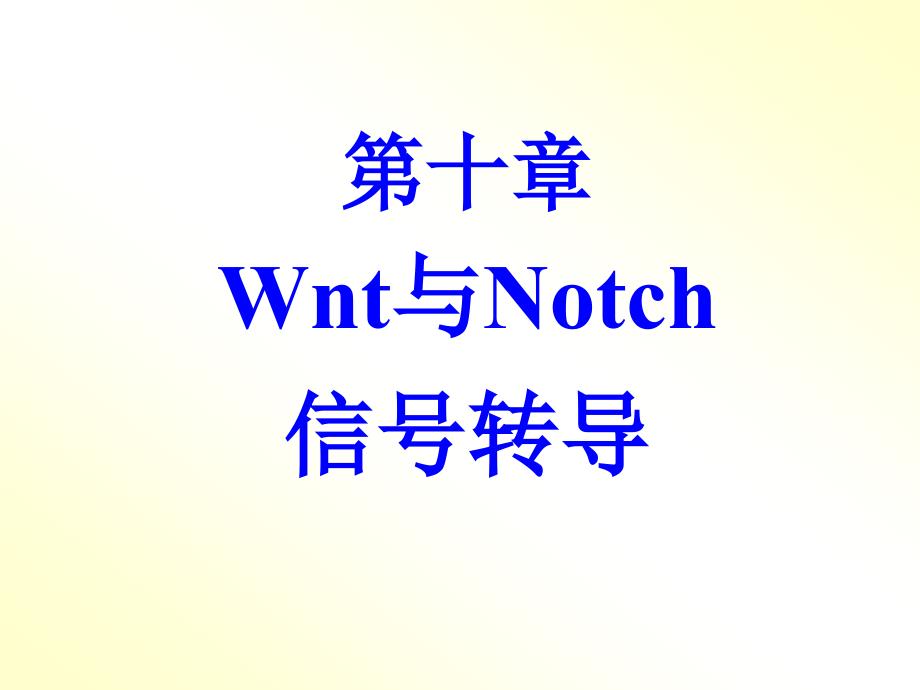 《wnt与notch》ppt课件_第1页