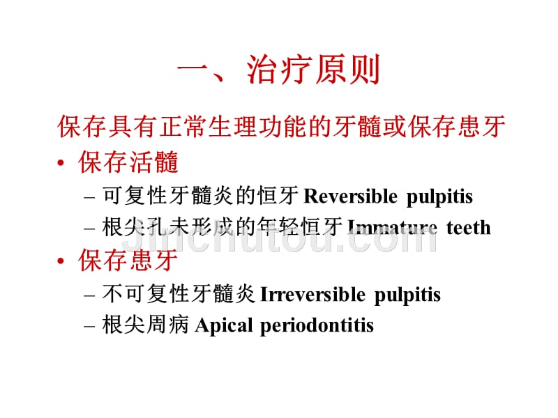 《bds2007概述学生》ppt课件_第3页