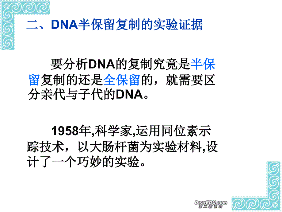 《dna的复制》ppt课件 （2）_第3页