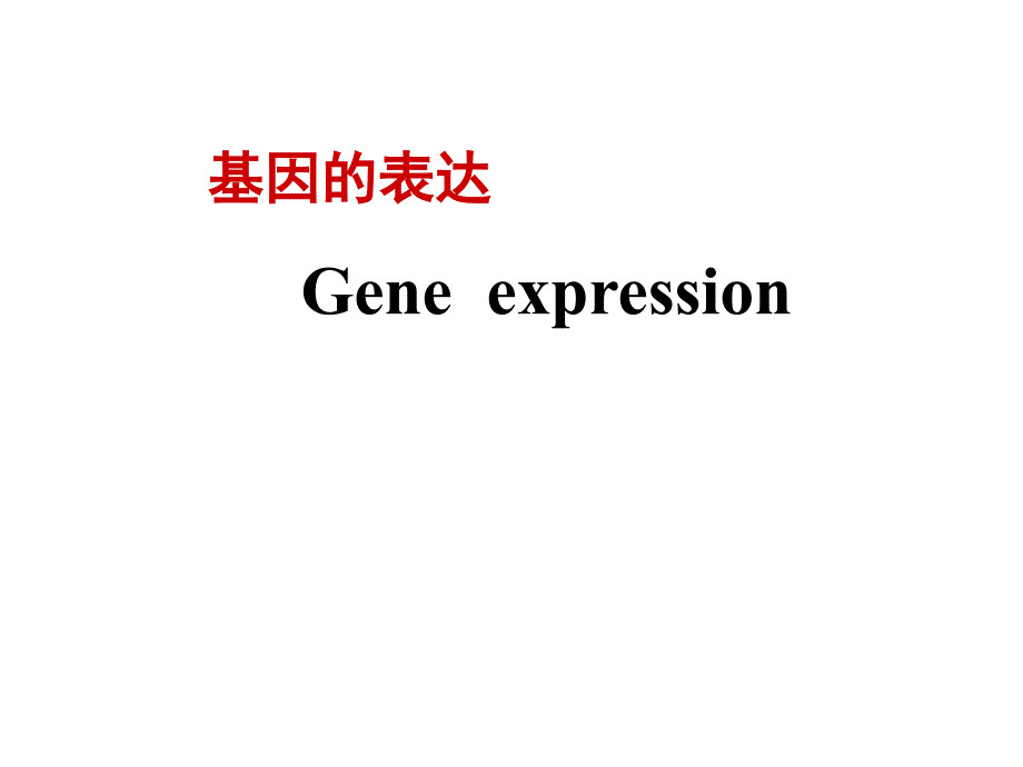 分子生物学第四章-2_第1页