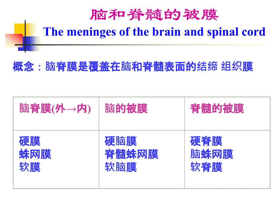 脑和脊髓的血管、被膜、脑脊液循环_第2页