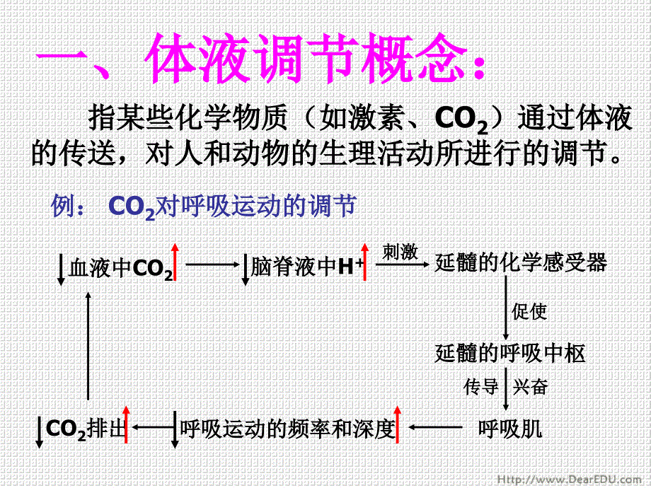 《体液调节人教》ppt课件_第2页