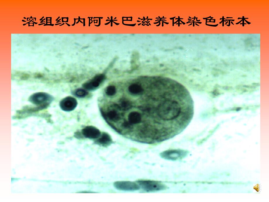 拷给学生的第五次实验课_第3页