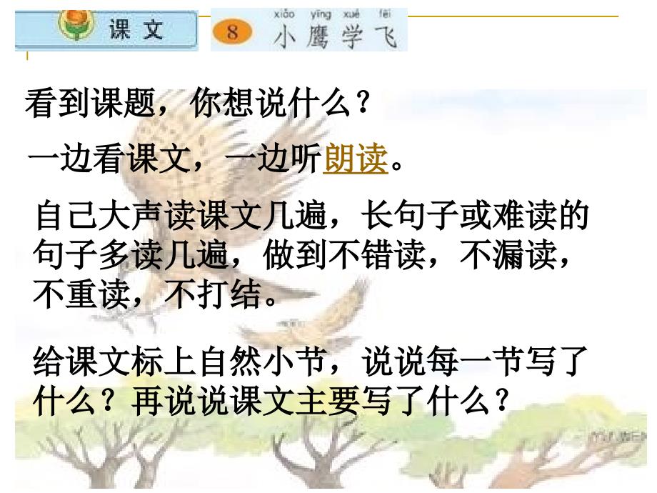 《小鹰学飞》ppt课件_第3页