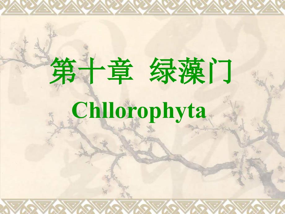 水生生物学第十章绿藻门_第1页