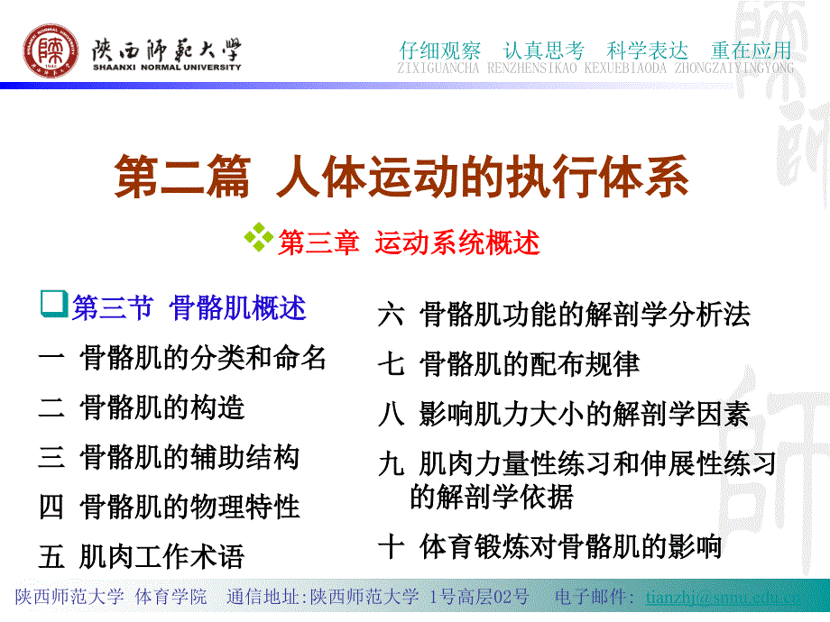 篇人体运动的执行体系-骨骼肌的概述 - 运动解剖学- 陕西师范大学_第3页