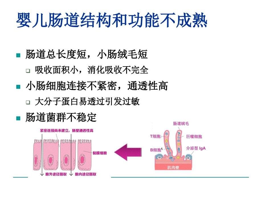 《婴儿喂养不耐受》ppt课件_第5页