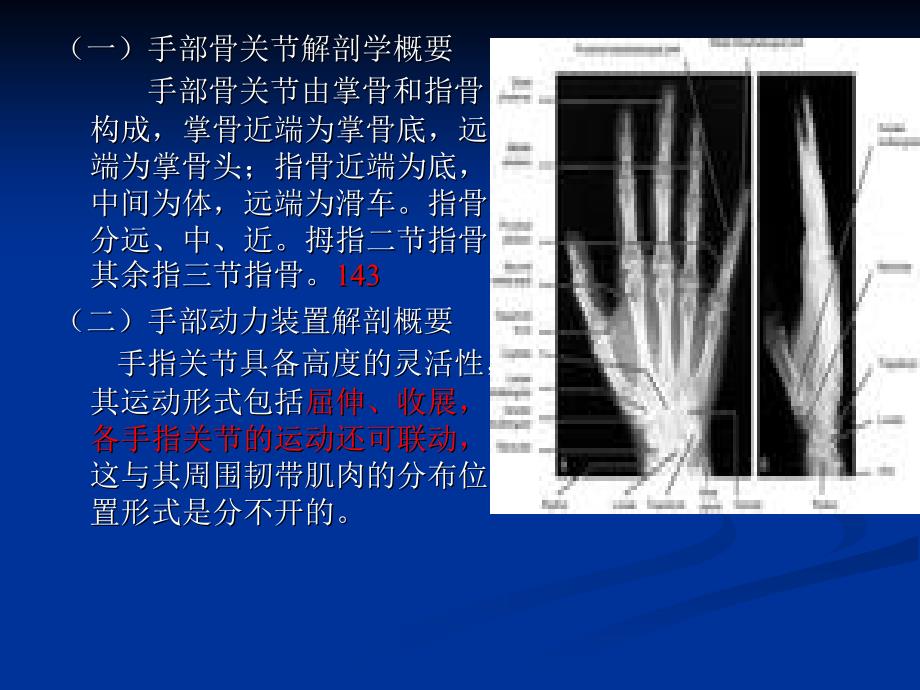 手部运动的康复2011年07月18日_第3页