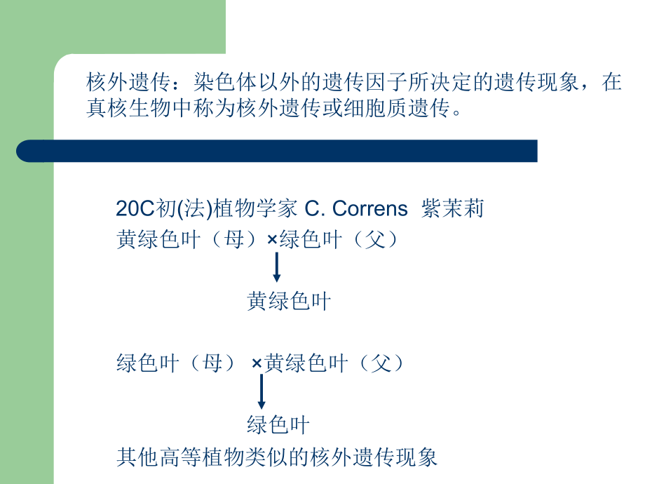 《核外遗传学改》ppt课件_第2页