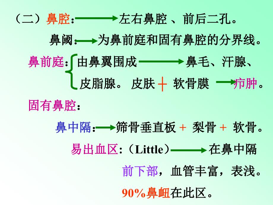 《解剖学呼吸系统》ppt课件_第3页