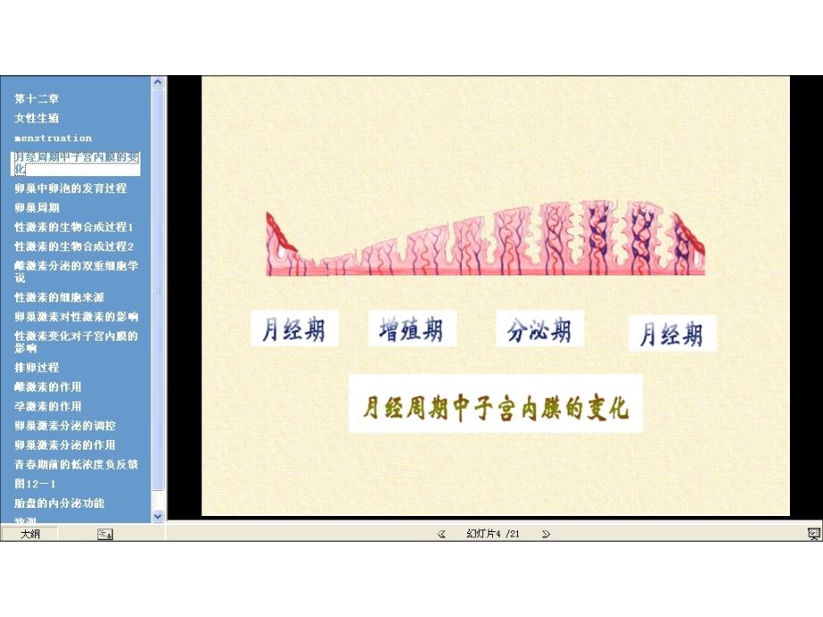 中南大学 生理学 第十二章生殖_生理学_第4页