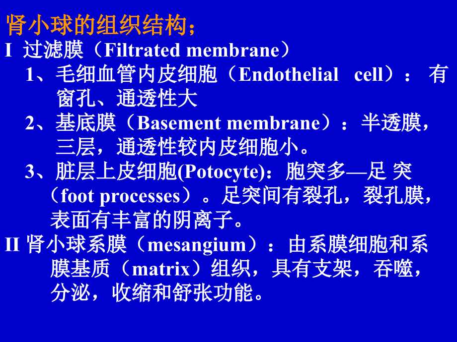 病理学泌尿系统疾病5年_第4页