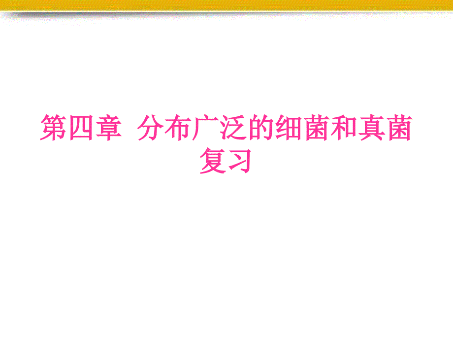 生物上册细菌和真菌复习课件1人教_第1页