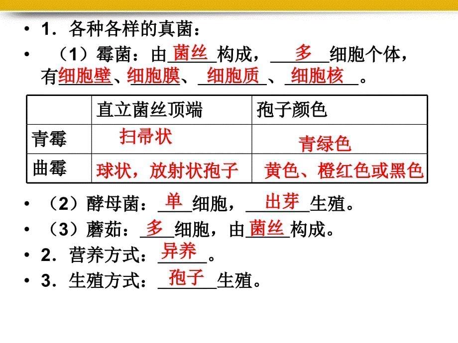 生物上册细菌和真菌复习课件1人教_第5页