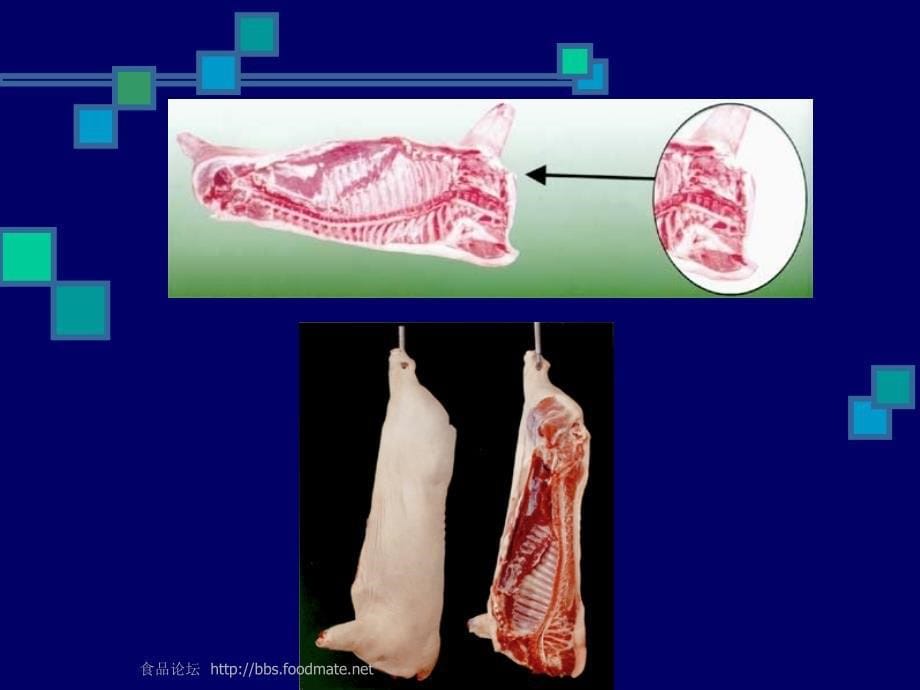 《产品图片标准》ppt课件_第5页