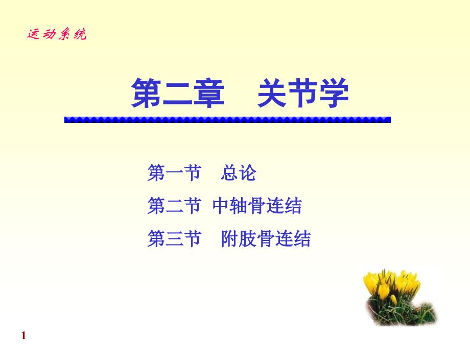 系统解剖学第二章关节学_第1页