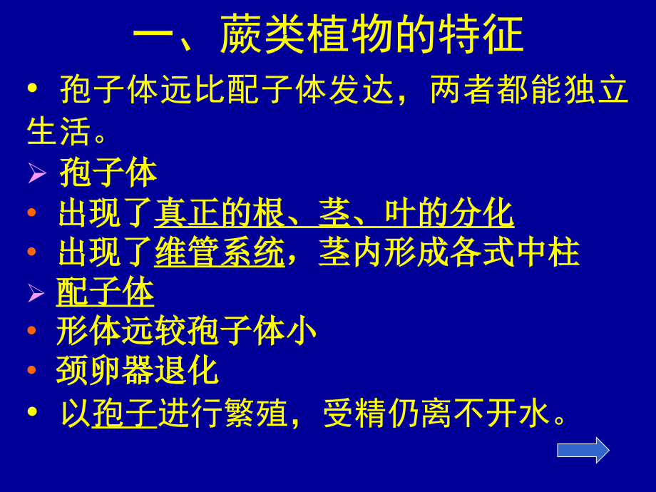 《医学蕨类植物》ppt课件_第4页