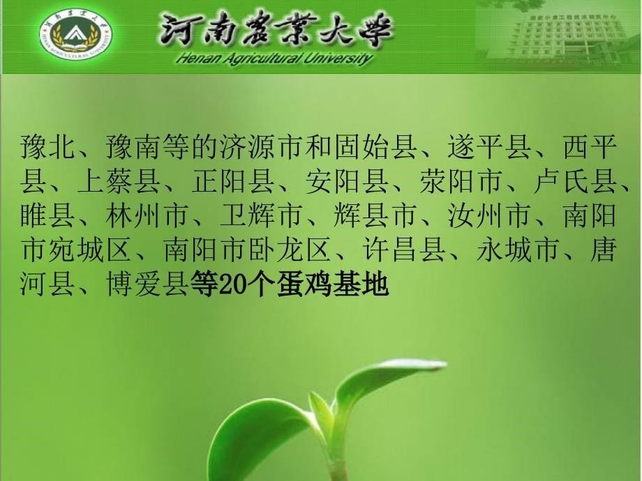 河南省家禽养殖与目前禽病流行概况_第5页