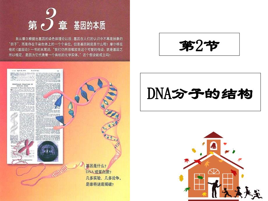 《xq,dna分子的结构》ppt课件_第1页