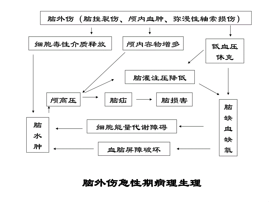 §12.4高压氧在神经外科的应用_第3页